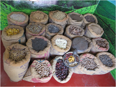 ::India 2015 SX260:IMG_5049.JPG