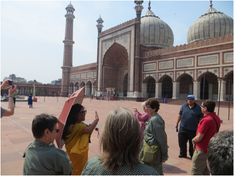 ::India 2015 SX260:IMG_2690.JPG