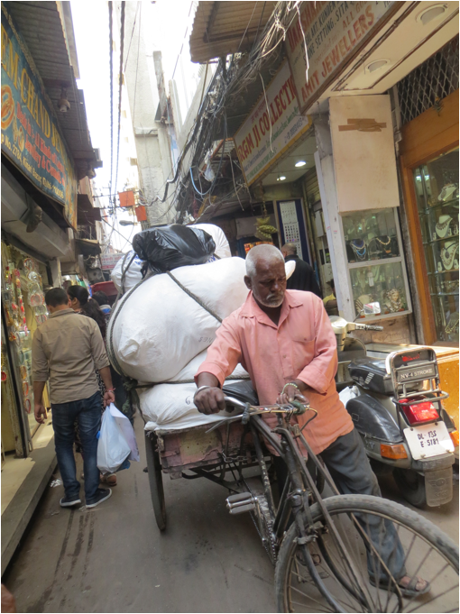 ::India 2015 SX260:IMG_2723.JPG