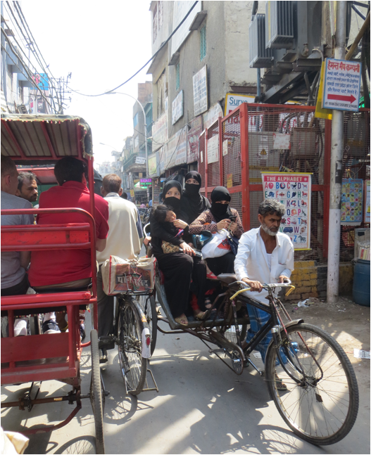 ::India 2015 SX260:IMG_2764.JPG