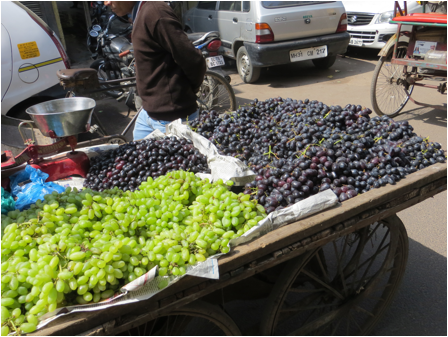 ::India 2015 SX260:IMG_2776.JPG