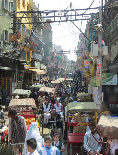 ::India 2015 SX260:IMG_2808.JPG