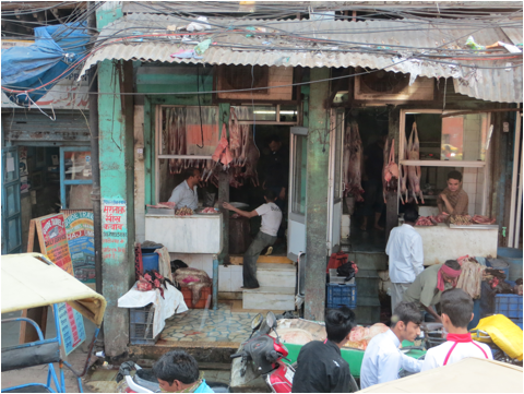 ::India 2015 SX260:IMG_2812.JPG