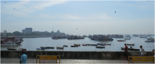 ::India 2015 SX260:IMG_4075.JPG