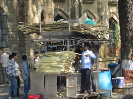 ::India 2015 SX260:IMG_4121.JPG