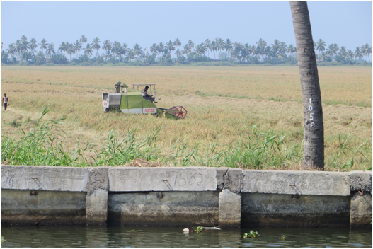 ::India 2015 SX260:IMG_4745.JPG