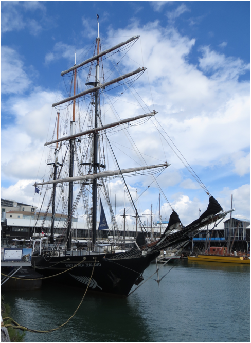 ::New Zealand Australia pics:Mar 18, 2017:IMG_8241.JPG