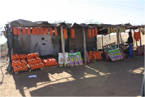 :South Africa pics:7-31 vendors on road 004.jpg