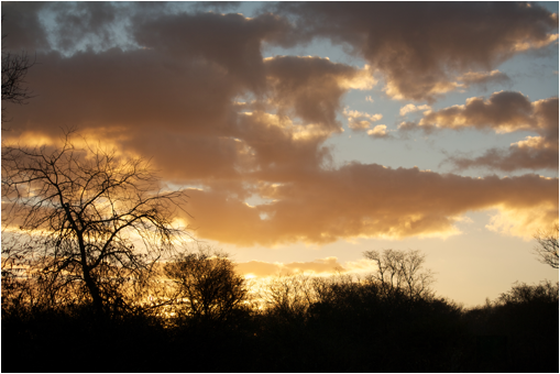 ::South Africa pics:8-1 sunset day 2 050.jpg