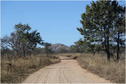 ::South Africa pics:8-3 typical road 121.jpg