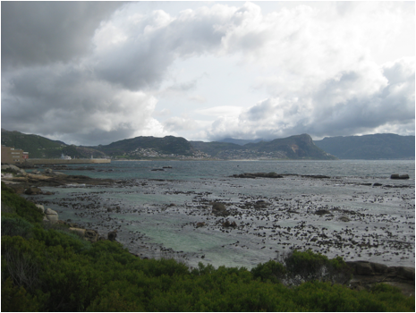 ::South Africa pics:8-12 low tide 371.jpg