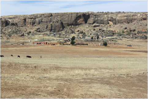 ::South Africa pics:8-15 Lesotho village with herds 376.jpg