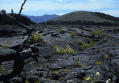 craters of the moon