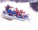 gauley