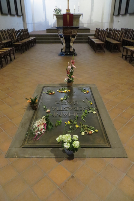 IMG_5689.JPG