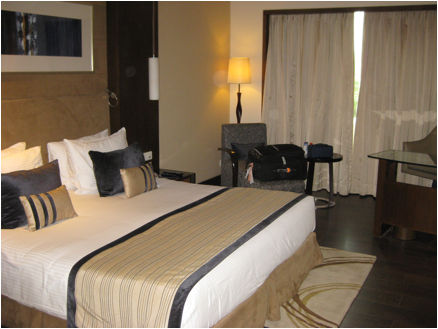 ::India 2015 SD1100:IMG_0028.JPG