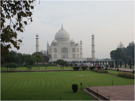::India 2015 SX260:IMG_3245.JPG