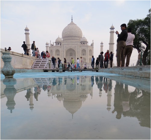 ::India 2015 SX260:IMG_3247.JPG