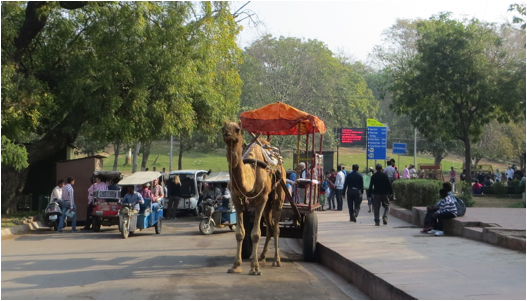 ::India 2015 SX260:IMG_3304.JPG