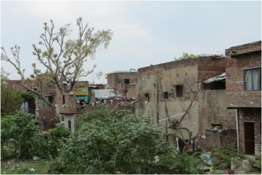 ::India 2015 SX260:IMG_3338.JPG