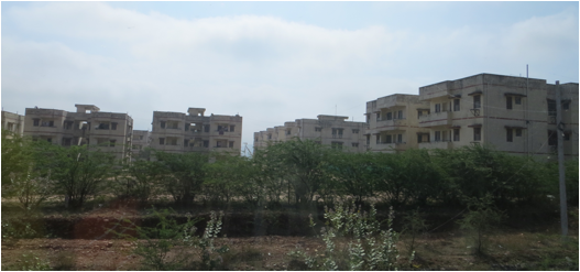 ::India 2015 SX260:IMG_3478.JPG
