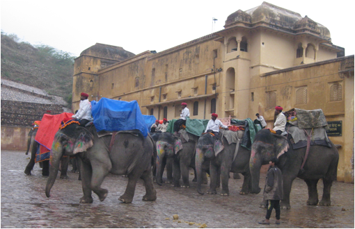 ::India 2015 SD1100:IMG_0043.JPG