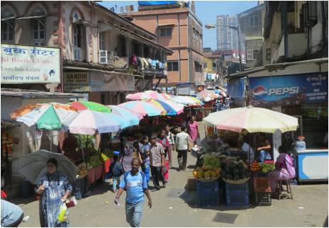 ::India 2015 SX260:IMG_4330.JPG