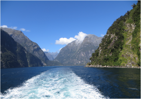 ::New Zealand Australia pics:Mar 24, 2017:IMG_9498.JPG