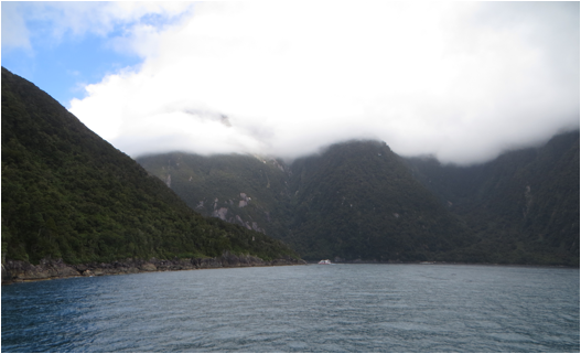 ::New Zealand Australia pics:Mar 24, 2017:IMG_9515.JPG