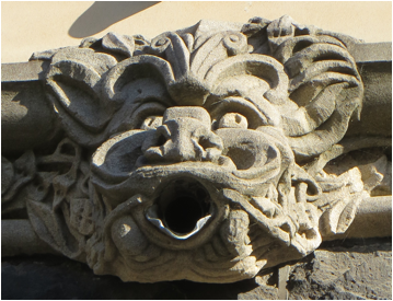 ::New Zealand Australia pics:Mar 27 2017:IMG_9887.JPG