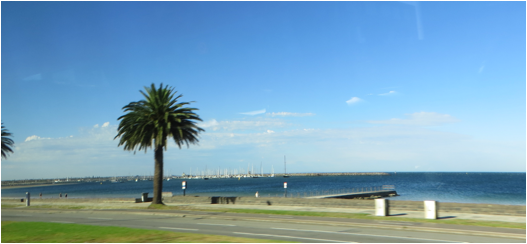 ::New Zealand Australia pics:Mar 27 2017:IMG_9957.JPG