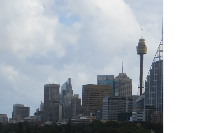 ::New Zealand Australia pics:Apr 4, 2017:IMG_1038.JPG