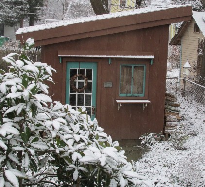 Green Roof in the Snow