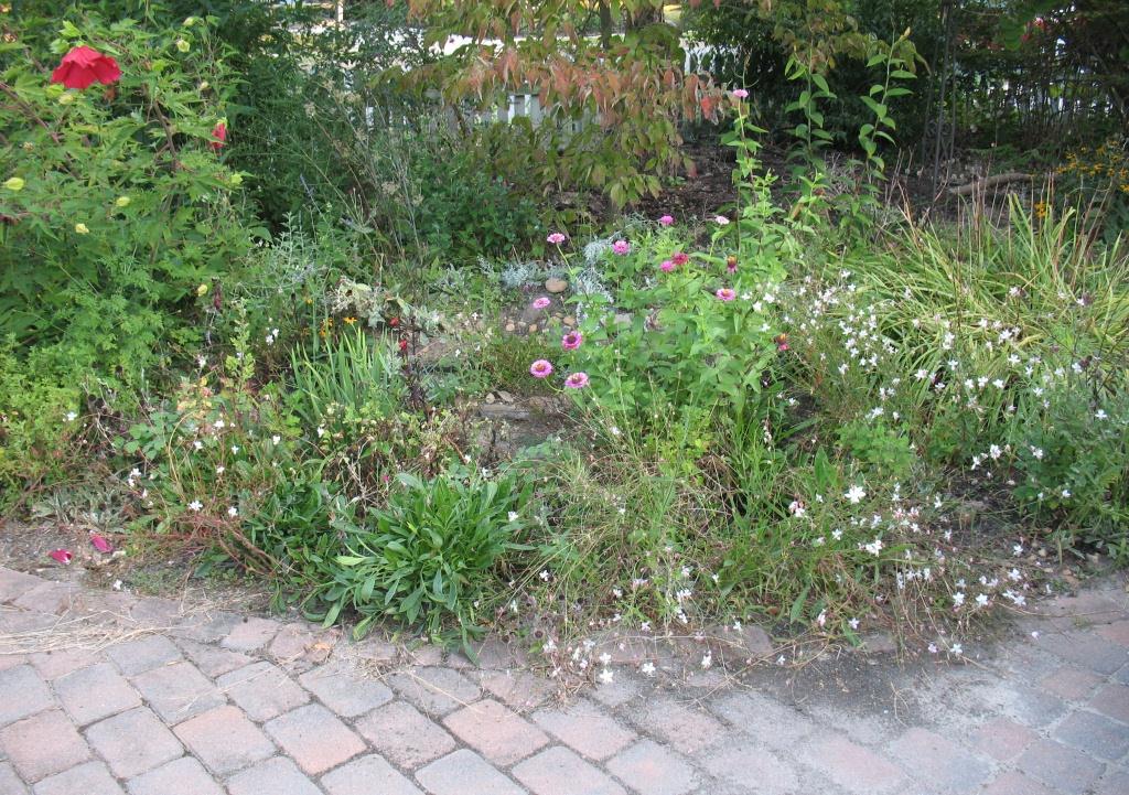 Rain Garden