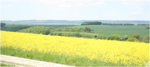 Macintosh HD:Users:robertnewland:Desktop:pics for Europe doc :IMG_2234.JPG