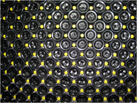 :pics for Europe doc :IMG_0211.JPG