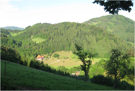 :pics for Europe doc :IMG_1729.JPG