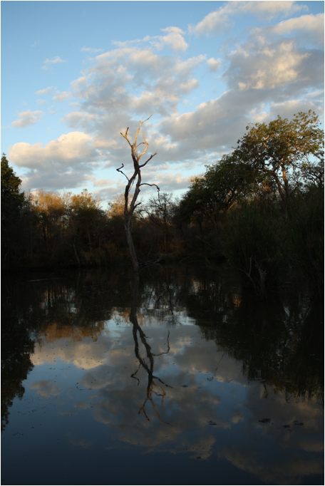 ::South Africa pics:8-1 watering hole 3 048.jpg