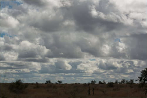 ::South Africa pics:8-2 sky drama 074.jpg