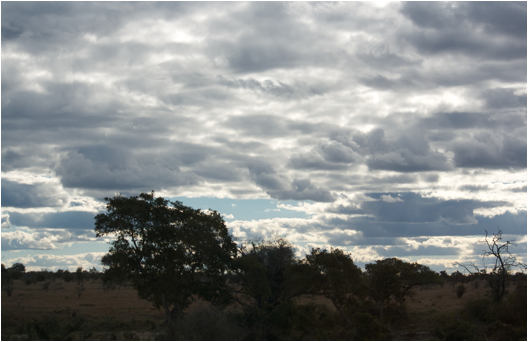 ::South Africa pics:8-4 sky 117.jpg