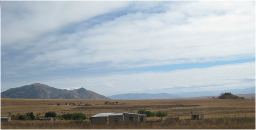 ::South Africa pics:8-5 shacks along the road 278.jpg