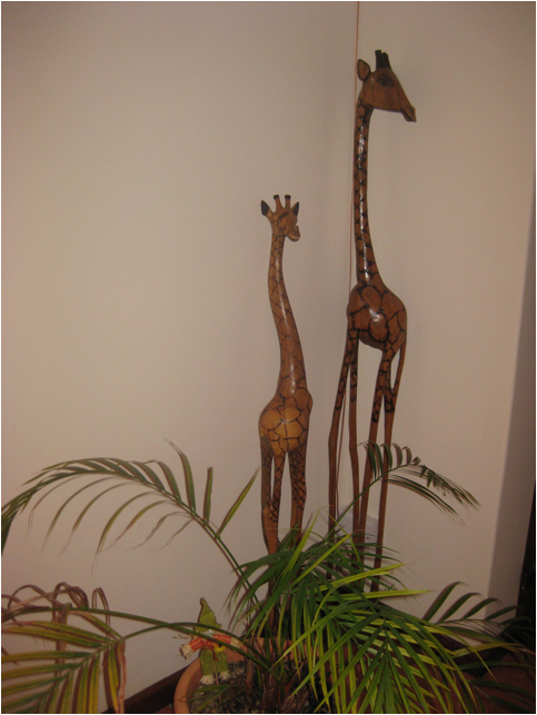 ::South Africa pics:8-10 B&B giraffs 306.jpg