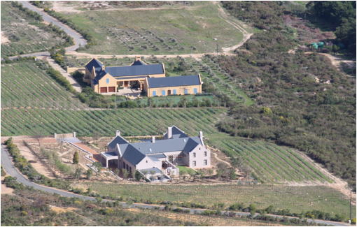 ::South Africa pics:8-10 Franschhoek vineyeards 176.jpg