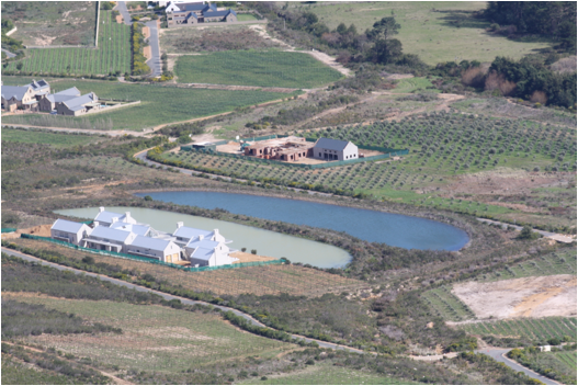 ::South Africa pics:8-10 vinyards 362.jpg