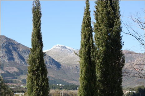 ::South Africa pics:8-10 view from Franschoek 183.jpg