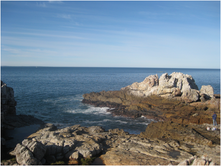 ::South Africa pics:8-10 whale watching area 364.jpg