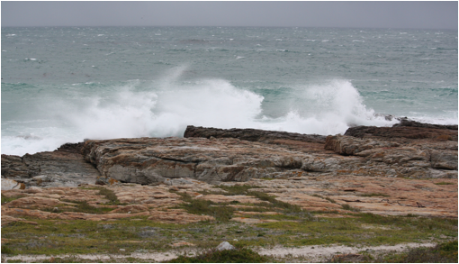 ::South Africa pics:8-12 surf at Cape of Good Hope 208.jpg