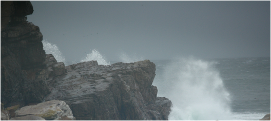 ::South Africa pics:8-12 surf at Cape of Good Hope 209.jpg