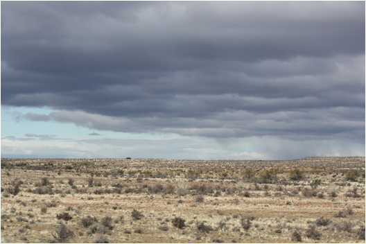 ::South Africa pics:8-13 N1 to Karoo 214.jpg