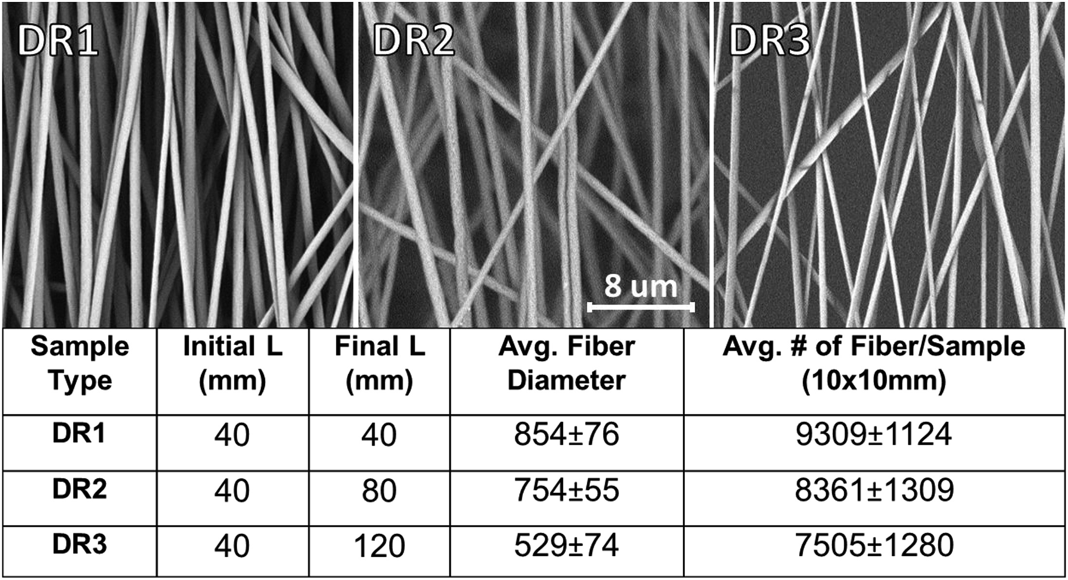 Electrospun PVDF Fibers